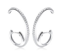 Nifty Unique Shaped Silver Stud Earring HO-2471